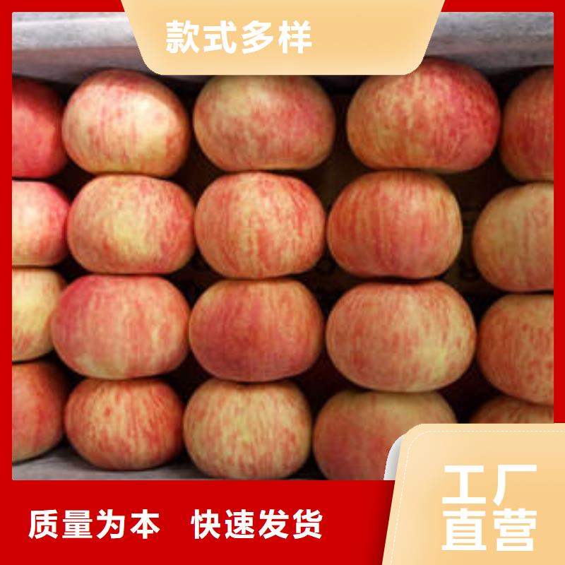 红富士苹果嘎啦苹果细节之处更加用心
