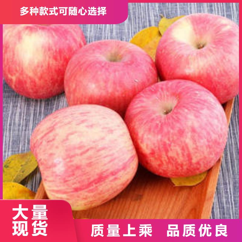 订购【景才】红富士苹果苹果 源头厂家经验丰富