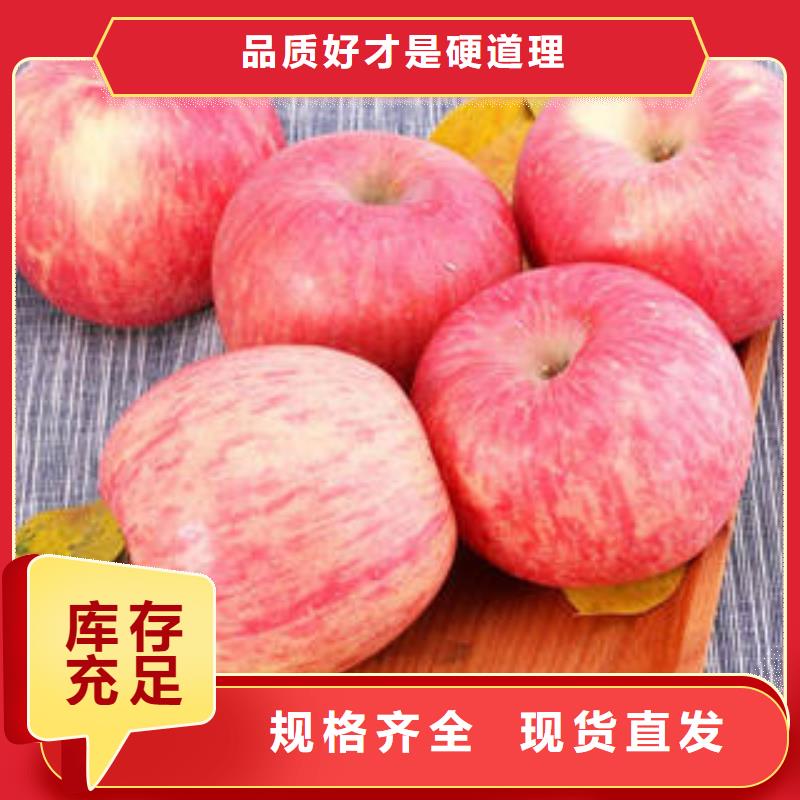 红富士苹果经验丰富品质可靠