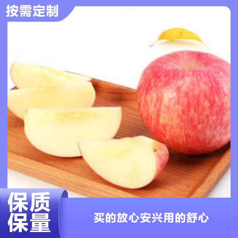 订购【景才】红富士苹果苹果 源头厂家经验丰富