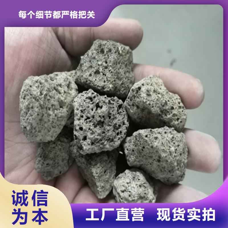 陶粒蜂窝斜管填料值得信赖