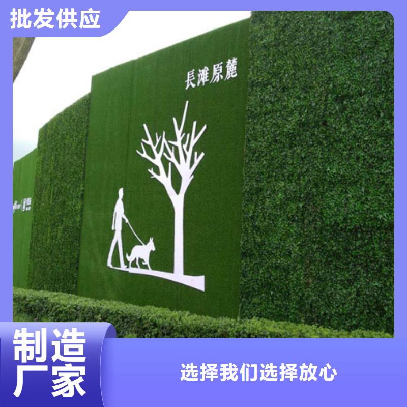 草坪围挡人工草坪围挡厂家直发