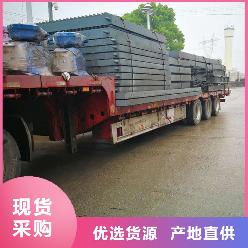 专业生产N年(瑞鑫)钢制闸门    技术