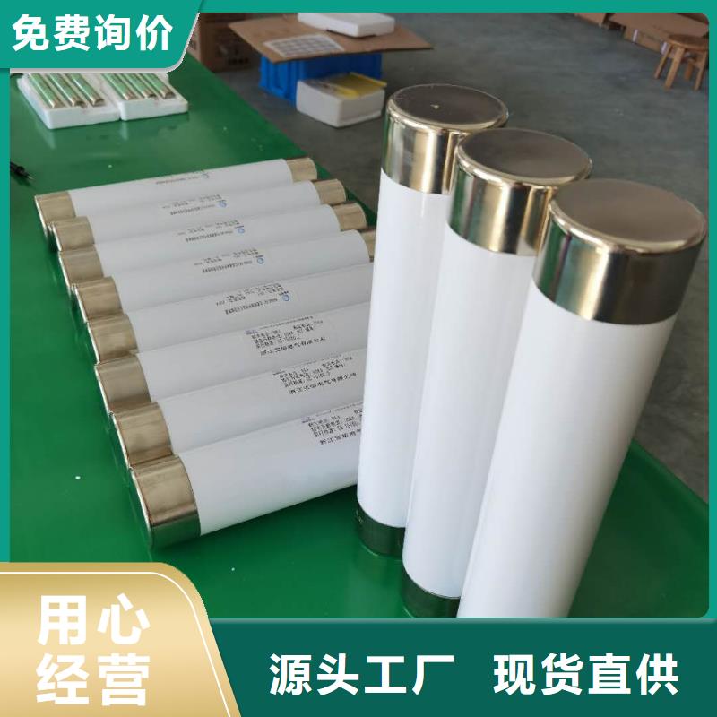 高压熔断器XRNP-10KV高压限流熔断器厂家十分靠谱