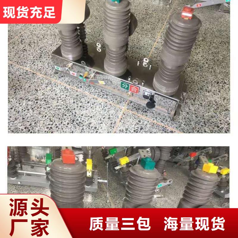 真空断路器高压限流熔断器产地工厂