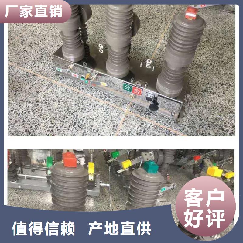 真空断路器户外单极隔离开关实力工厂