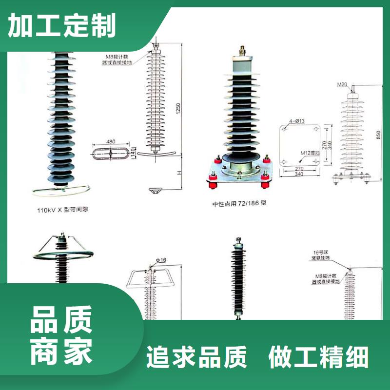 氧化锌避雷器XRNT-12KV熔断器专心专注专业