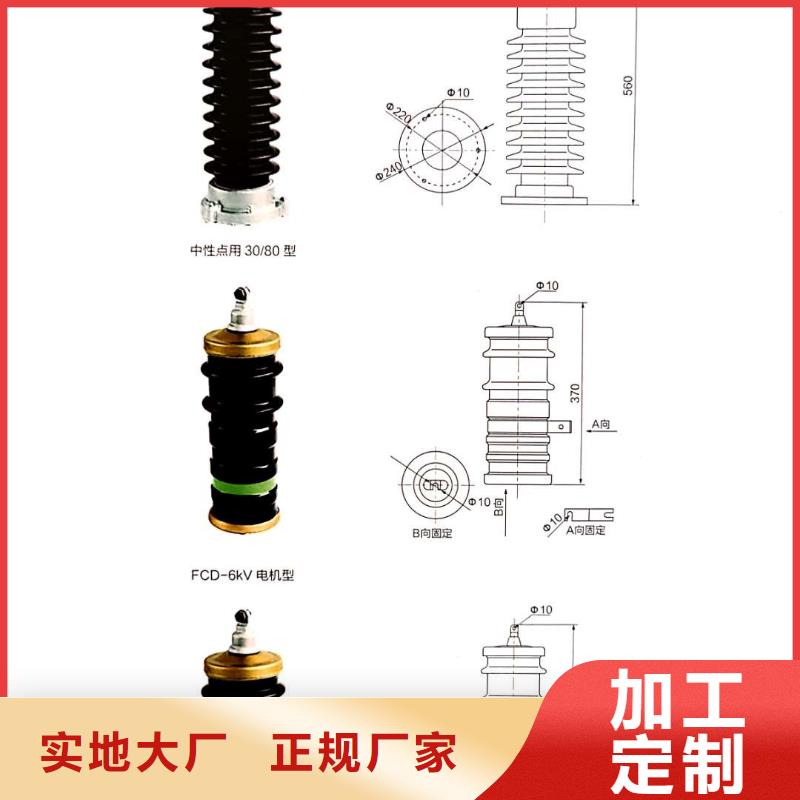 【氧化锌避雷器_ZW32-12F/630A制造厂家】