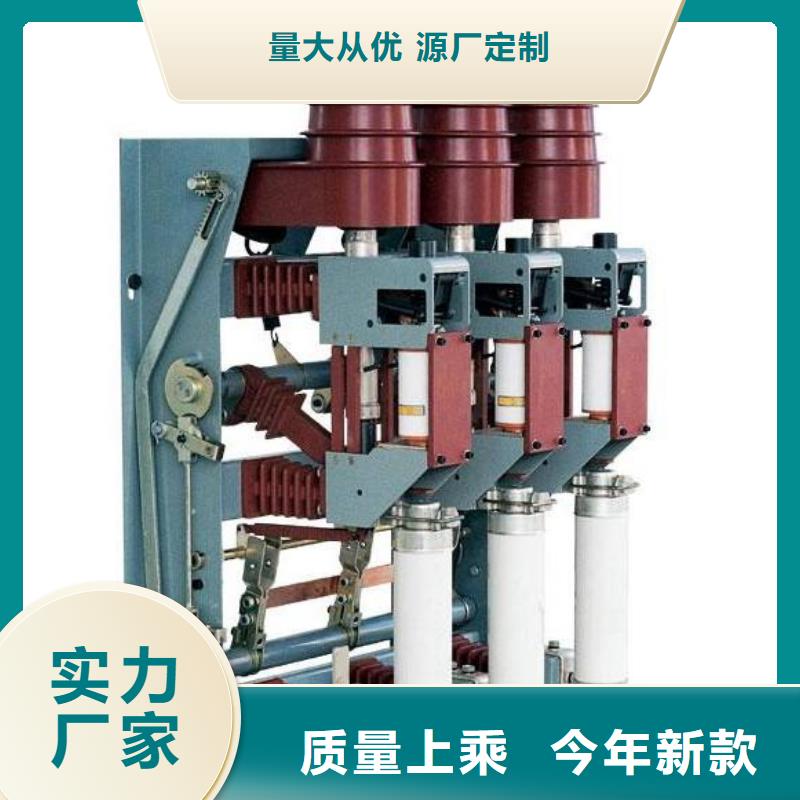 高压负荷开关高压接地开关大厂家实力看得见