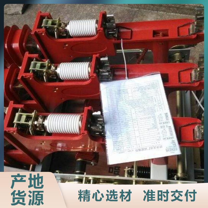 高压负荷开关高压氧化锌避雷器供您所需