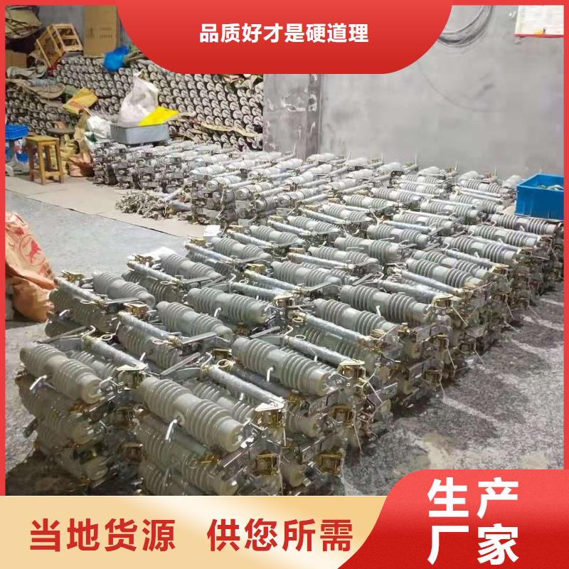 跌落式熔断器XRNT-12KV熔断器畅销当地