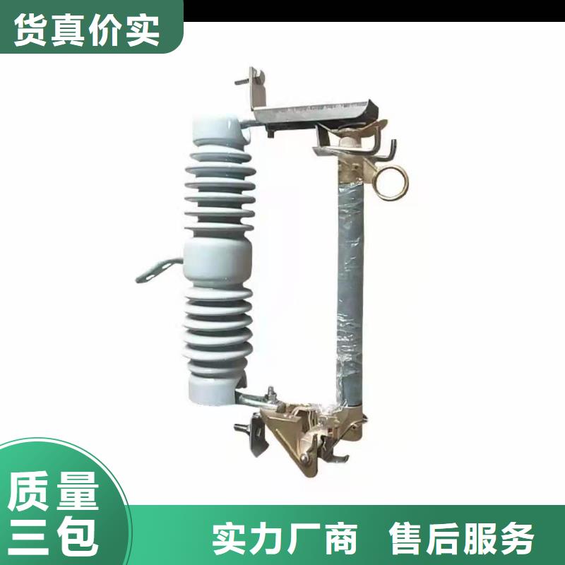 跌落式熔断器高压氧化锌避雷器品种全