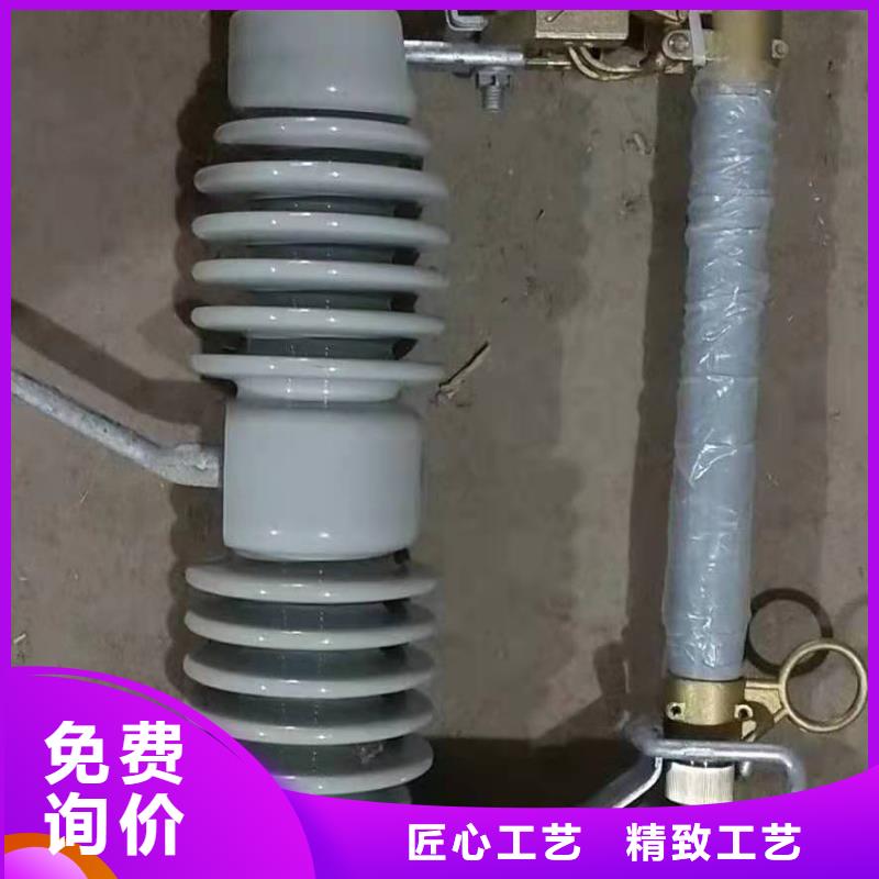 跌落式熔断器XRNT-12KV熔断器畅销当地