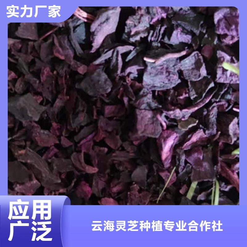 紫薯丁灵芝粉买的是放心