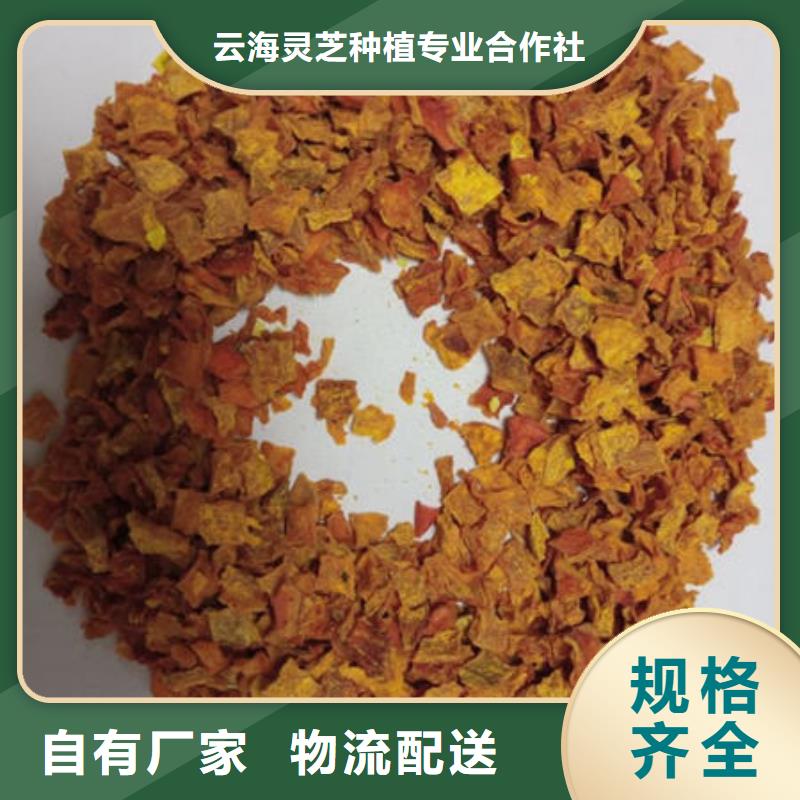 南瓜丁灵芝孢子粉甄选好厂家