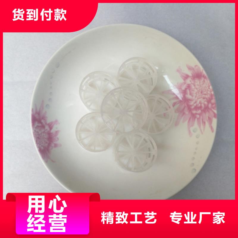 鲍尔环填料【组合填料】品牌专营