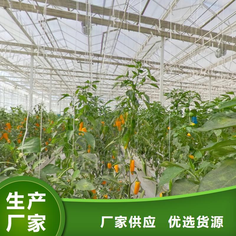 大棚管蔬菜温室大棚管实力见证