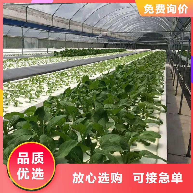 大棚管蔬菜温室大棚管实力见证