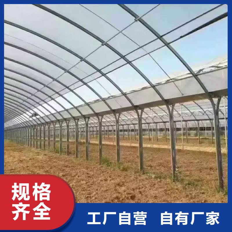 大棚管蔬菜温室大棚管实力见证