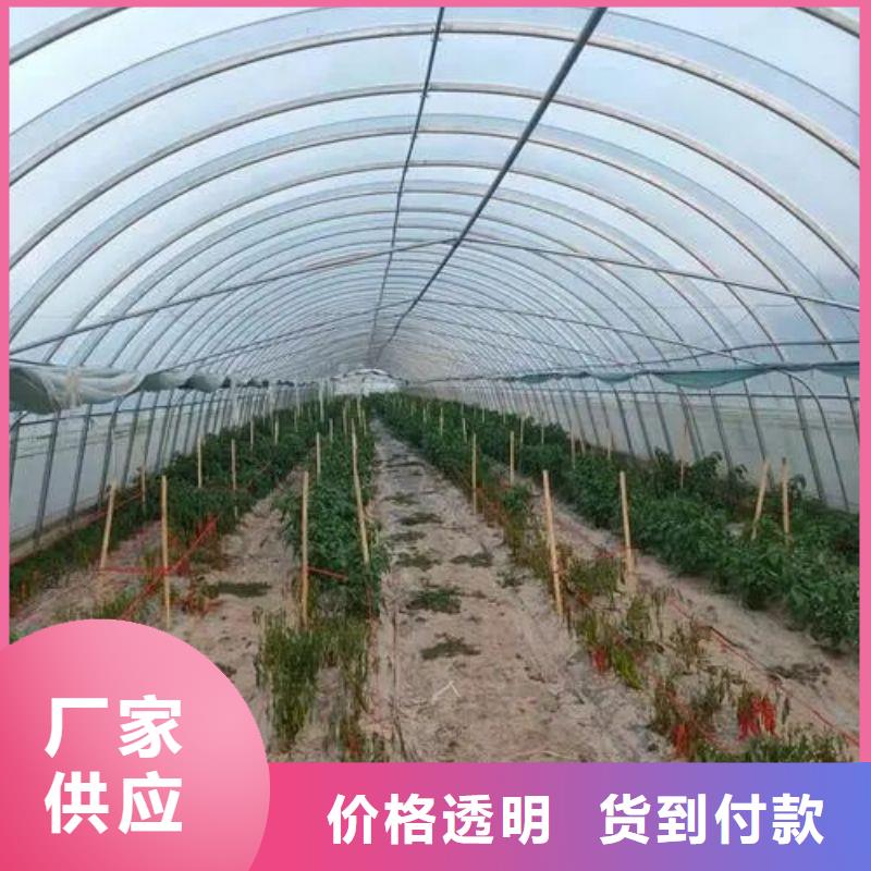 大棚管2温室大棚管工程施工案例