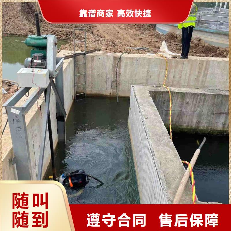 桥桩桥墩水下检测录像公司-本地施工队