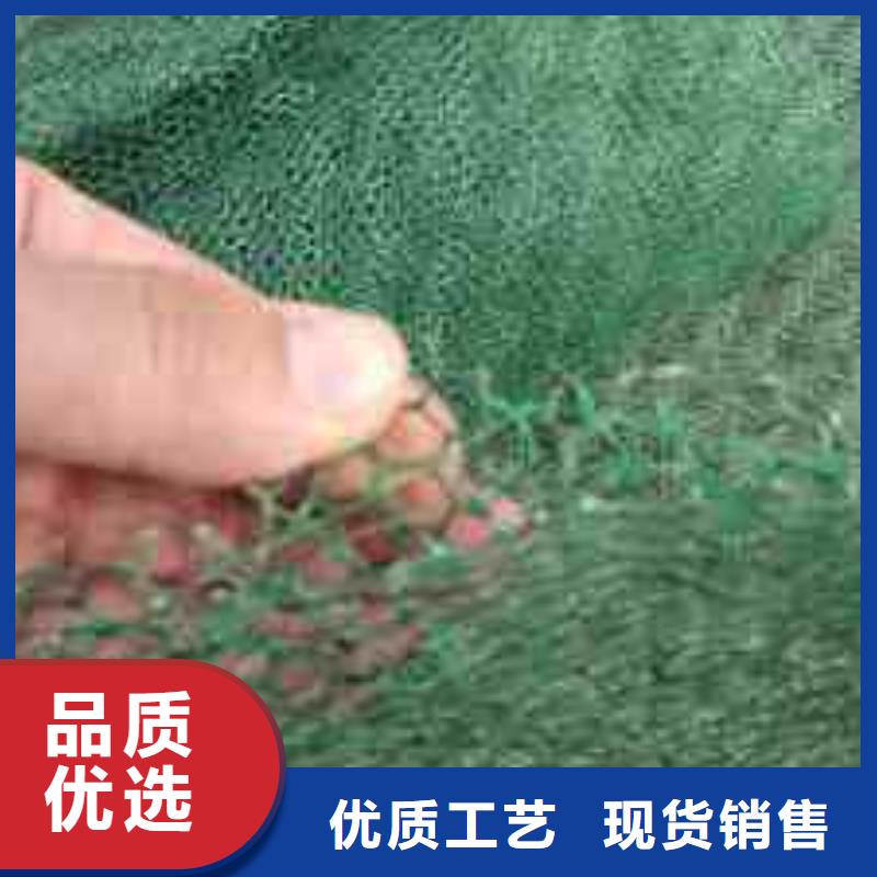 三维植被网软式透水管免费询价