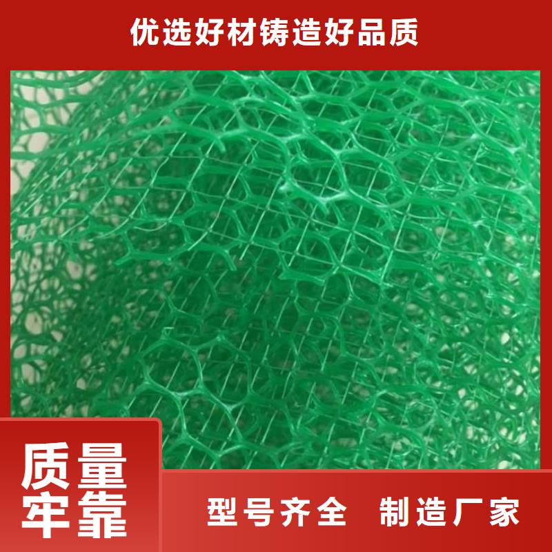 三维植被网长丝土工布支持大批量采购