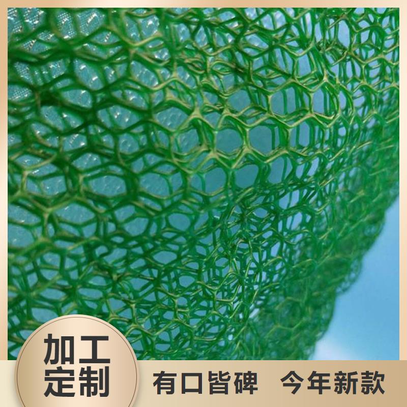 懂您所需《恒丰》三维植被网-毛细排水板值得信赖