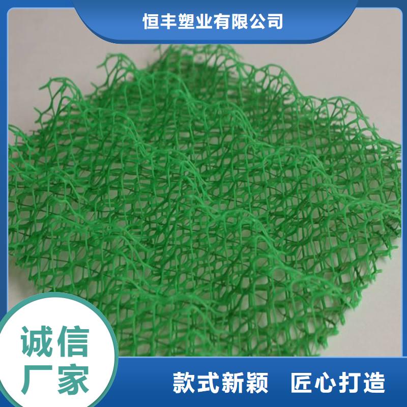 懂您所需《恒丰》三维植被网-毛细排水板值得信赖
