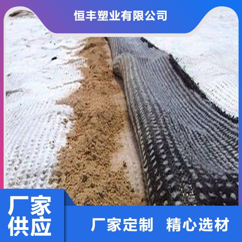 品质优选{恒丰}膨润土防水毯 双向拉伸塑料格栅实体厂家支持定制