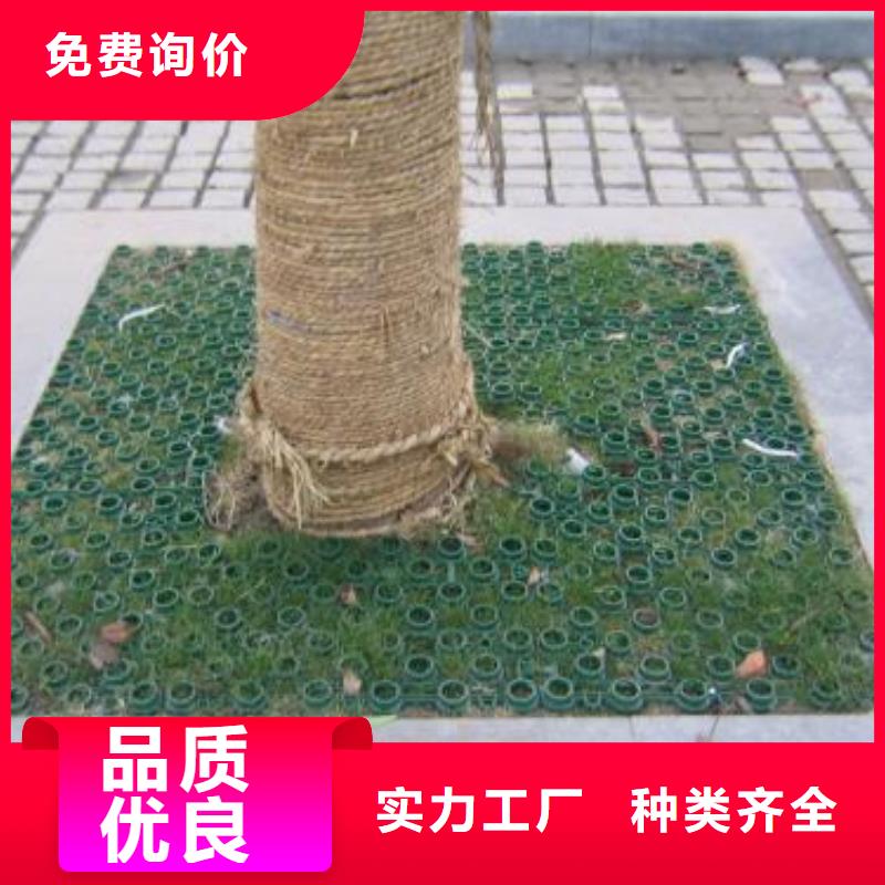 植草格PP焊接土工格栅追求品质