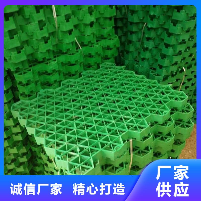 【植草格PP焊接土工格栅全新升级品质保障】