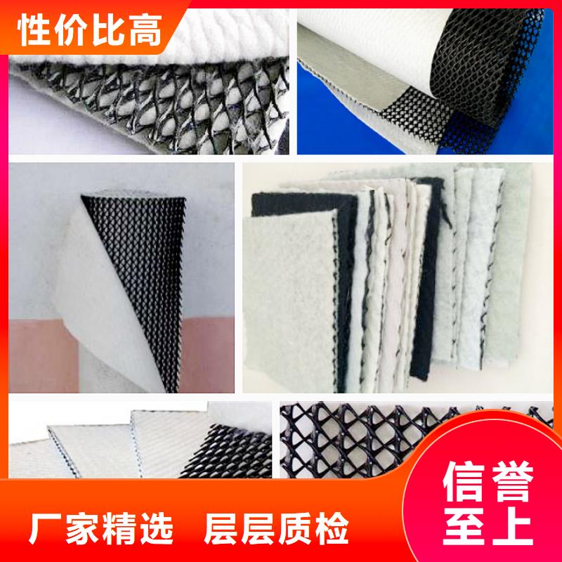 三维复合排水网-蜂巢格室工厂直营