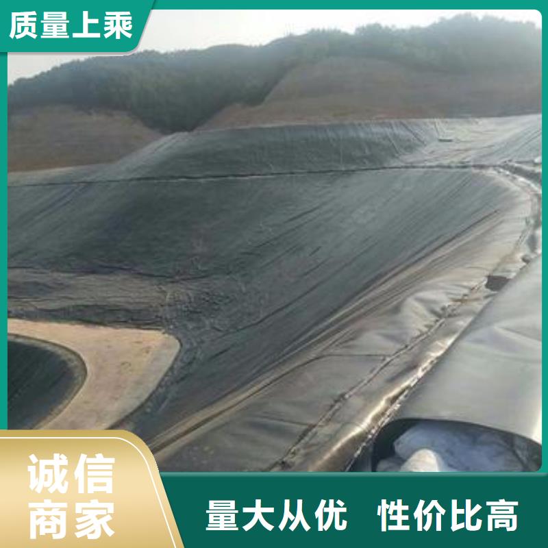 土工膜双向塑料土工格栅研发生产销售