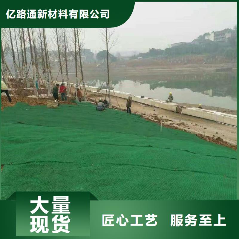 【三维植被网,单向塑料土工格栅性价比高】