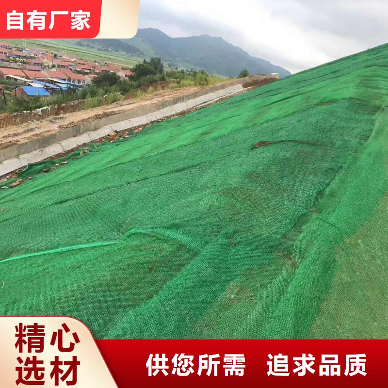 三维植被网塑料土工格栅现货直发