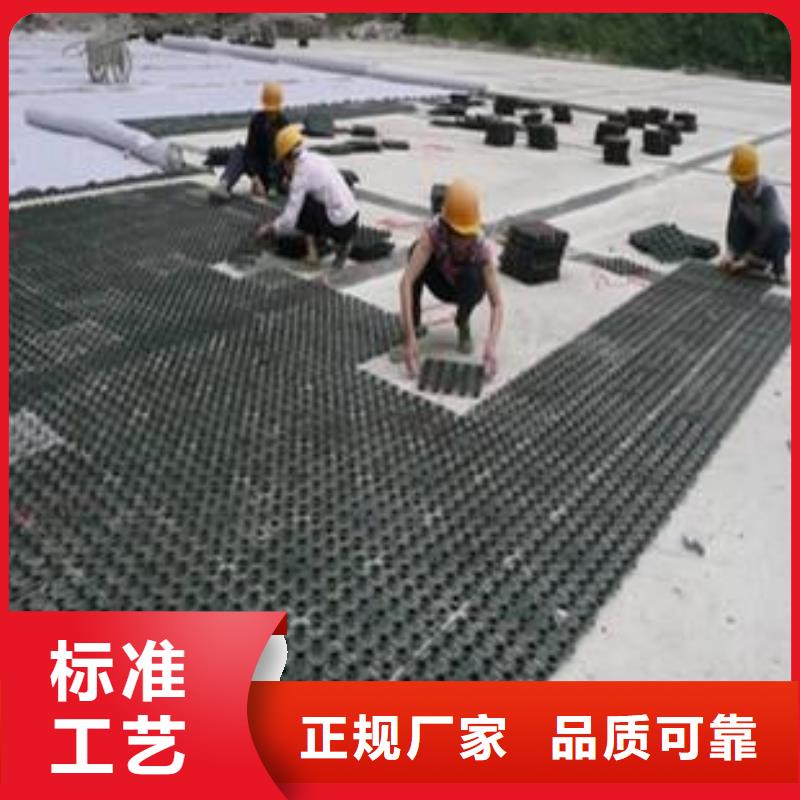 塑料排水板_双向塑料土工格栅厂家品控严格