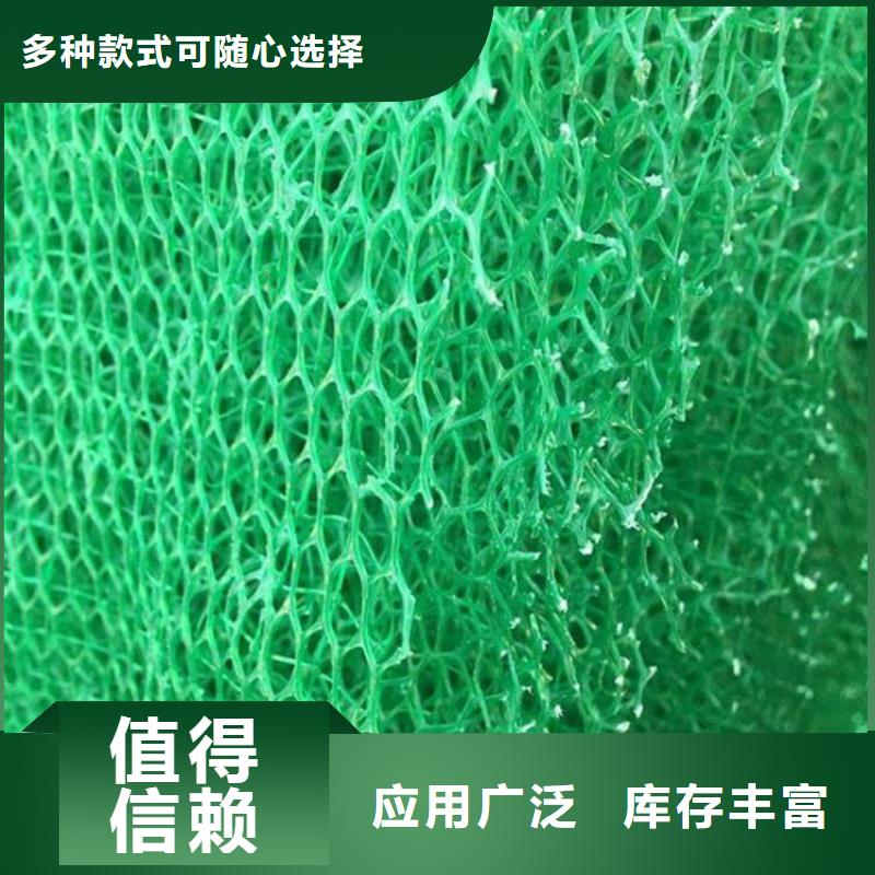 三维植被网三维土工网垫销售的是诚信