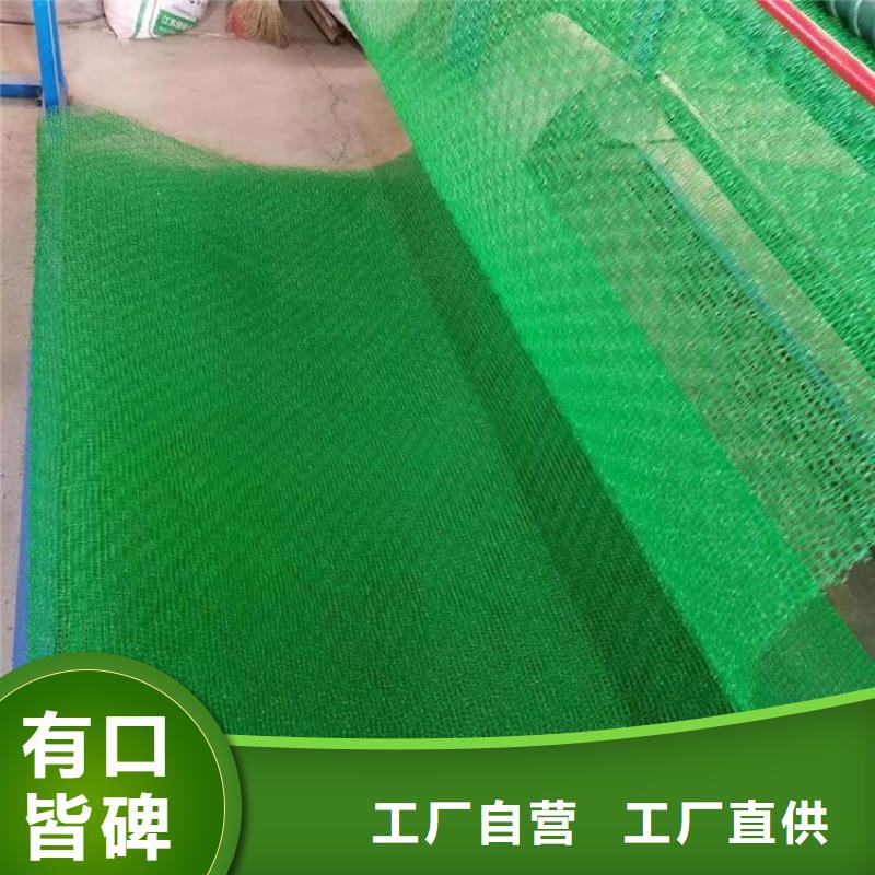 三维植被网【防水土工布】诚信为本