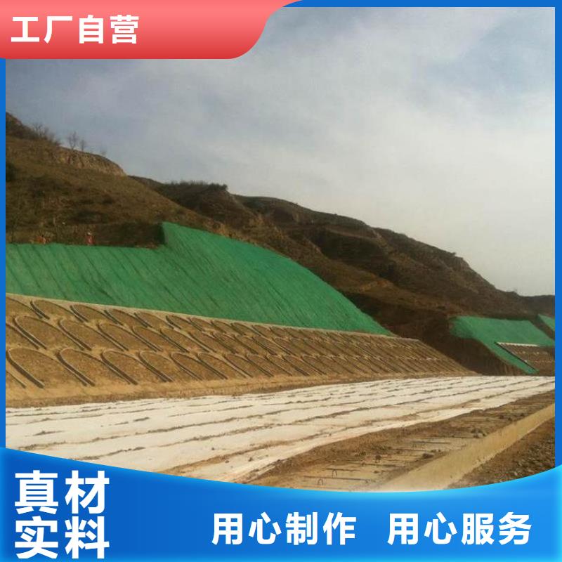 三维植被网双向塑料土工格栅优良材质