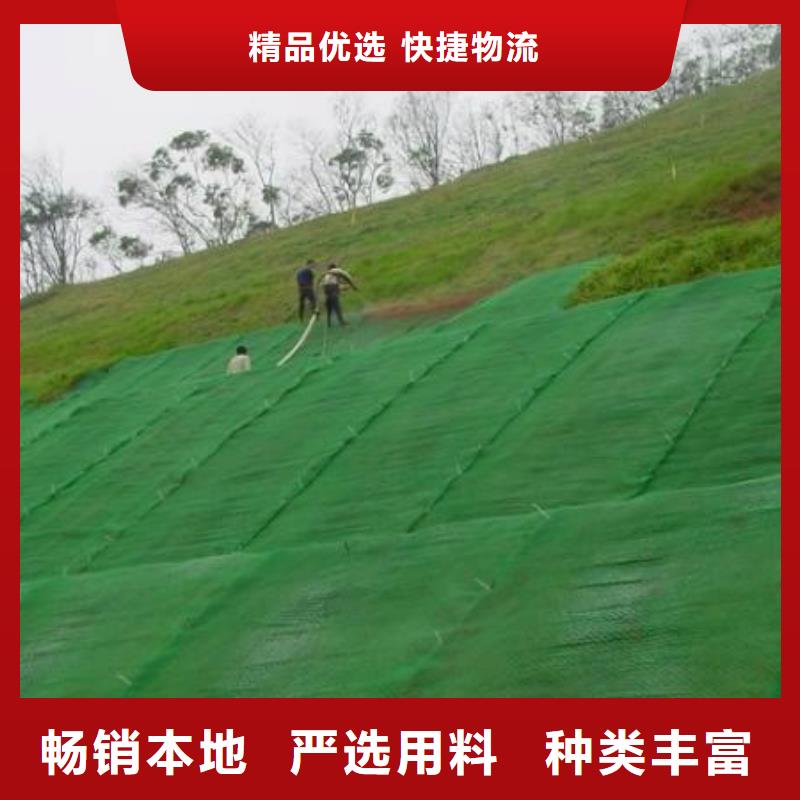 三维植被网【涤纶格栅】好品质经得住考验