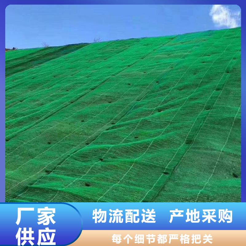 三维植被网,【玻纤土工格栅】质量看得见