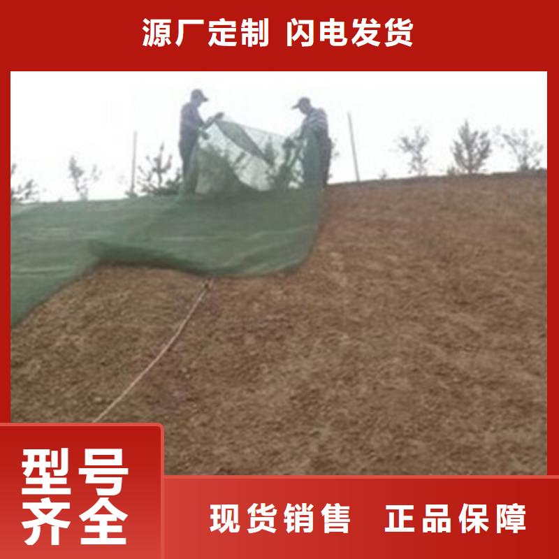 【三维植被网,三维土工网垫工厂直销】