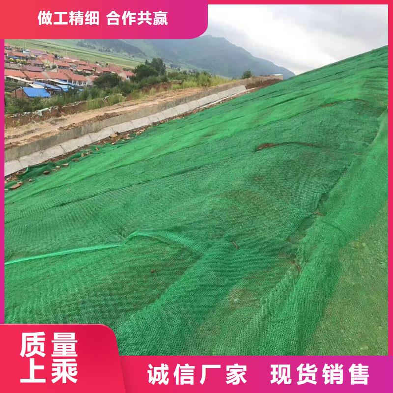 三维植被网_钢塑土工格栅价格地道