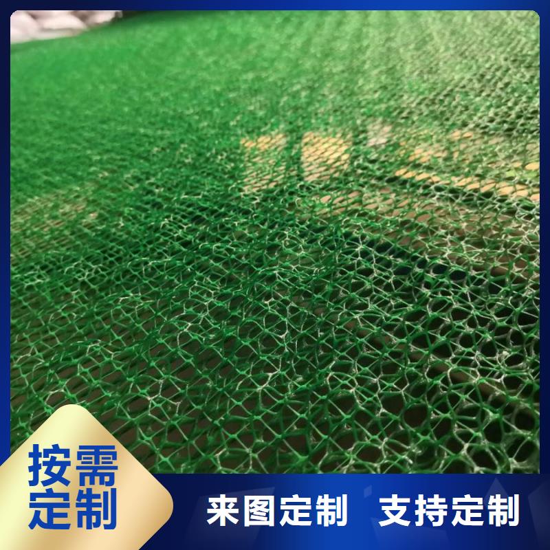 三维植被网涤纶土工格栅工厂自营