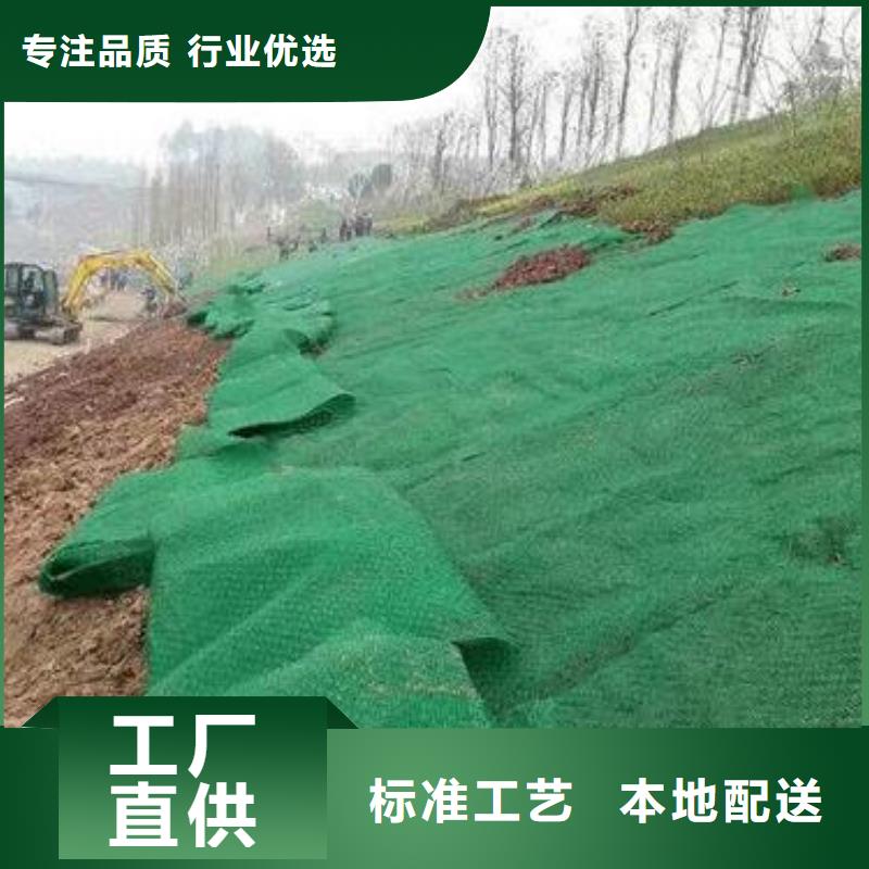 三维植被网【涤纶格栅】好品质经得住考验