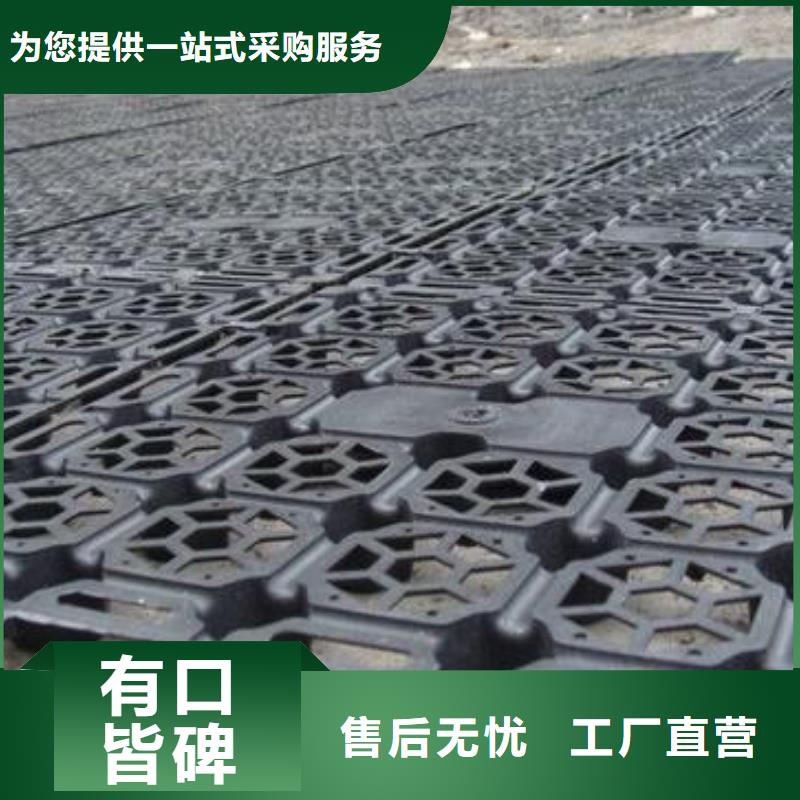 蓄排水板,双向塑料土工格栅专业的生产厂家