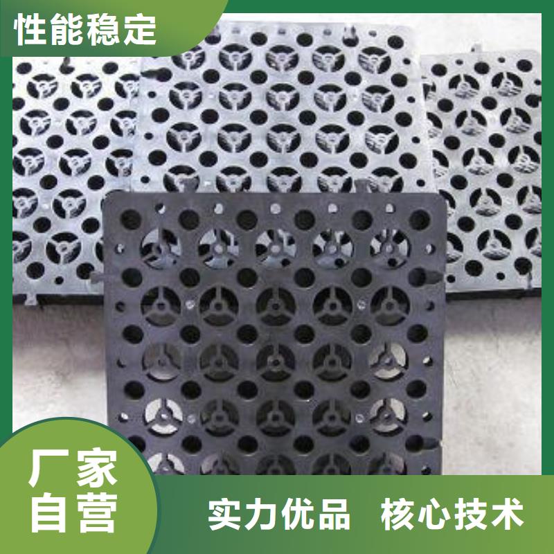 蓄排水板三维复合排水网口碑好实力强