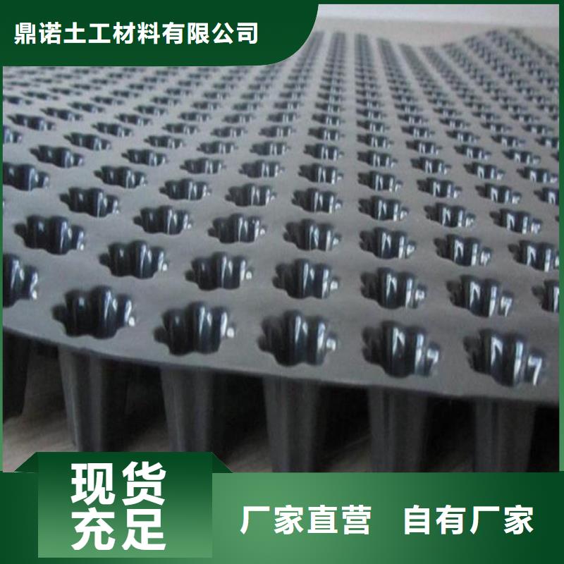 蓄排水板钢塑土工格栅欢迎新老客户垂询