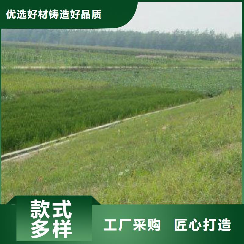 【三维植被网-双向拉伸土工格栅一站式采购】